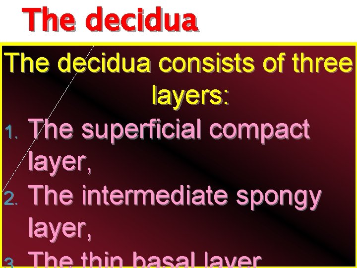 The decidua consists of three layers: 1. The superficial compact layer, 2. The intermediate