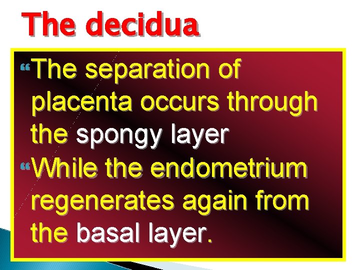 The decidua The separation of placenta occurs through the spongy layer While the endometrium