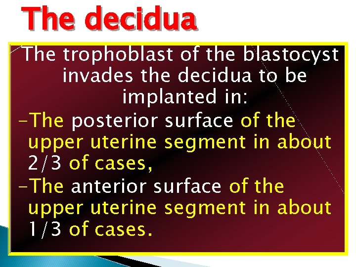 The decidua The trophoblast of the blastocyst invades the decidua to be implanted in: