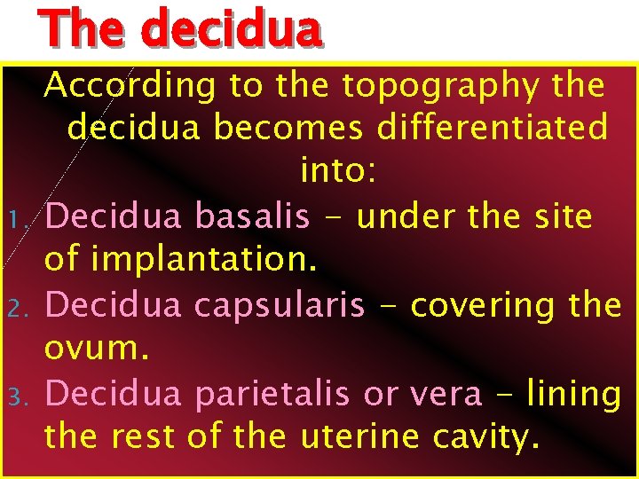 The decidua 1. 2. 3. According to the topography the decidua becomes differentiated into: