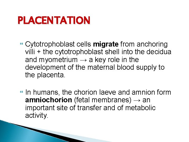 PLACENTATION Cytotrophoblast cells migrate from anchoring villi + the cytotrophoblast shell into the decidua