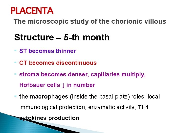 PLACENTA The microscopic study of the chorionic villous Structure – 5 -th month ST