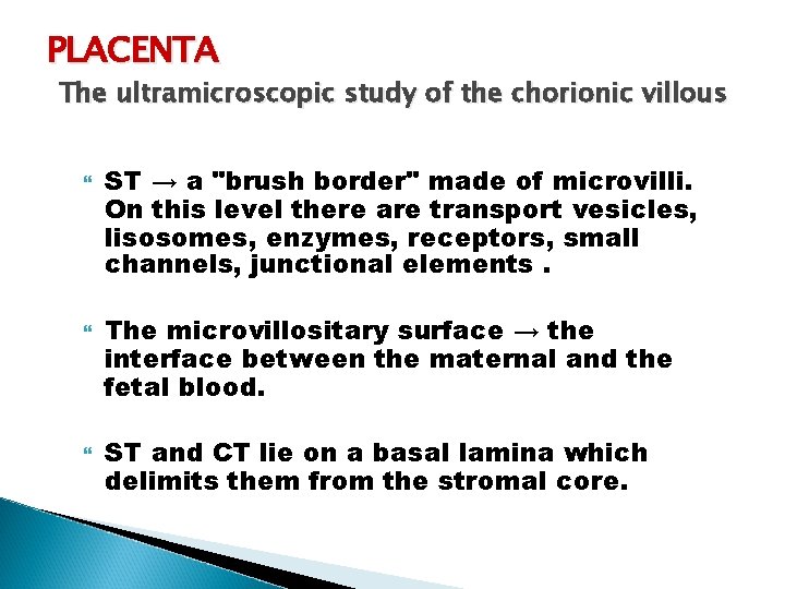 PLACENTA The ultramicroscopic study of the chorionic villous ST → a "brush border" made