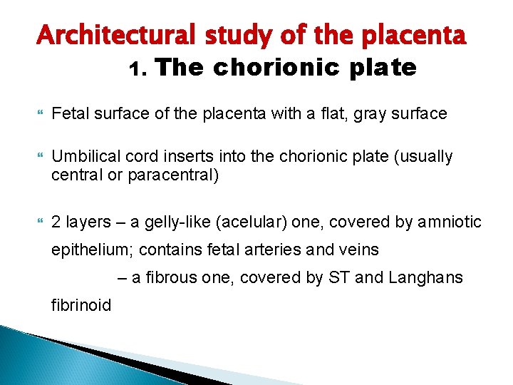 Architectural study of the placenta 1. The chorionic plate Fetal surface of the placenta