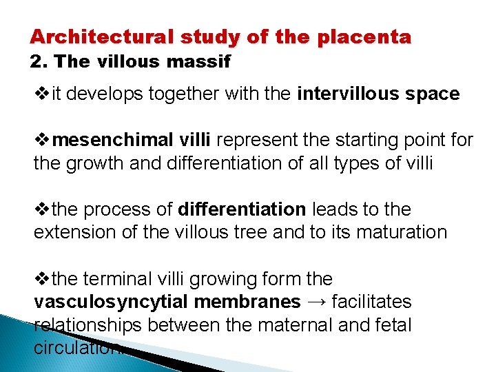 Architectural study of the placenta 2. The villous massif vit develops together with the