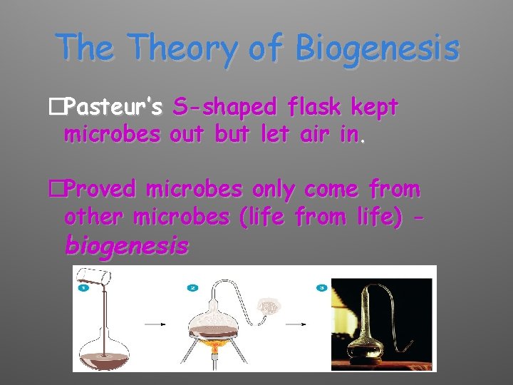 The Theory of Biogenesis �Pasteur’s S-shaped flask kept microbes out but let air in.