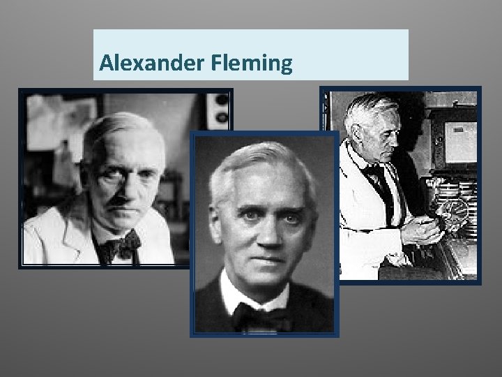 Alexander Fleming 
