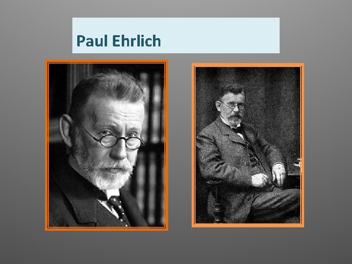 Paul Ehrlich 