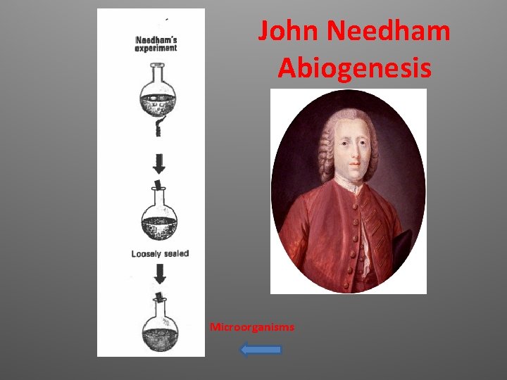 John Needham Abiogenesis Microorganisms 