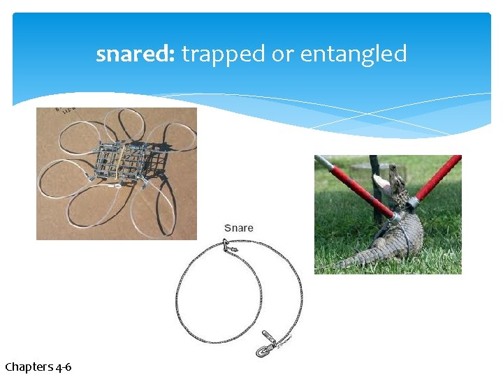 snared: trapped or entangled Chapters 4 -6 