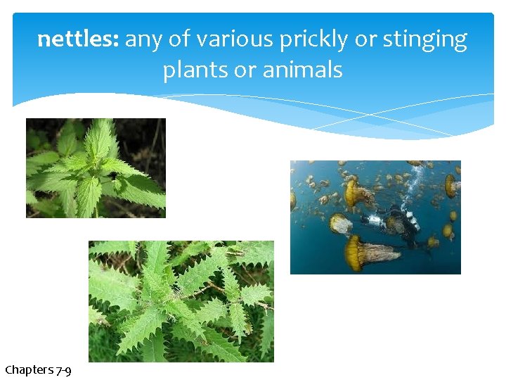 nettles: any of various prickly or stinging plants or animals Chapters 7 -9 