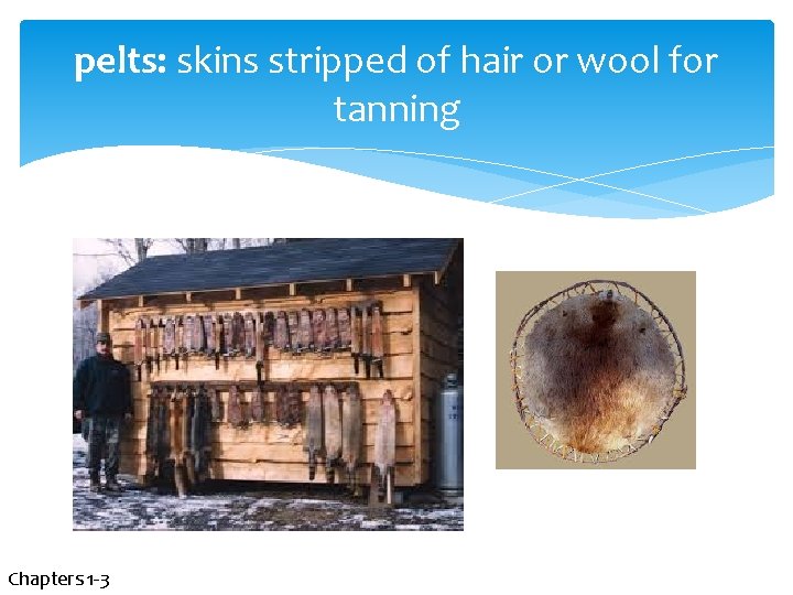 pelts: skins stripped of hair or wool for tanning Chapters 1 -3 