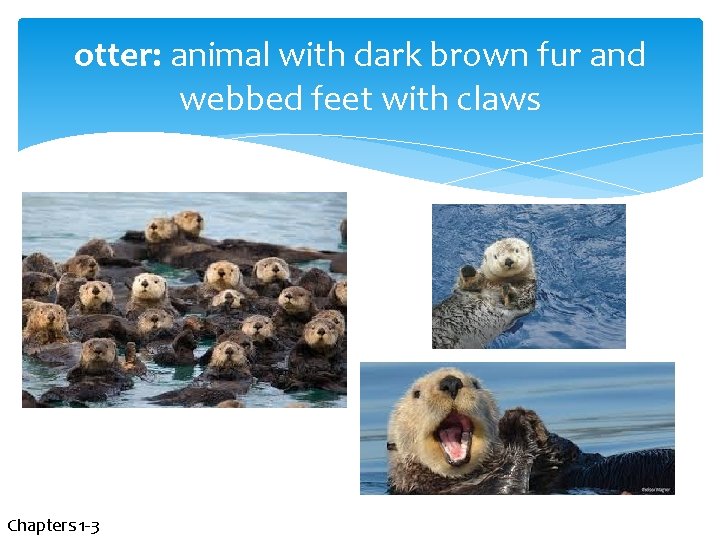 otter: animal with dark brown fur and webbed feet with claws Chapters 1 -3