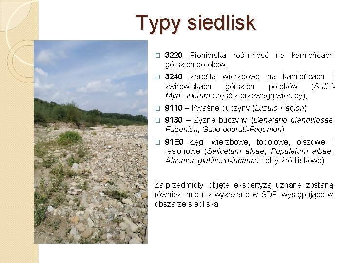 Typy siedlisk � 3220 Pionierska roślinność na kamieńcach górskich potoków, � 3240 Zarośla wierzbowe