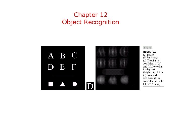Chapter 12 Object Recognition 