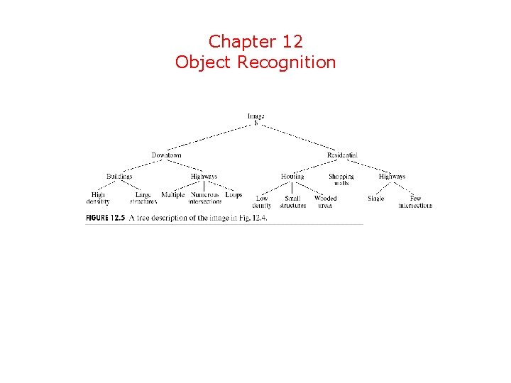Chapter 12 Object Recognition 