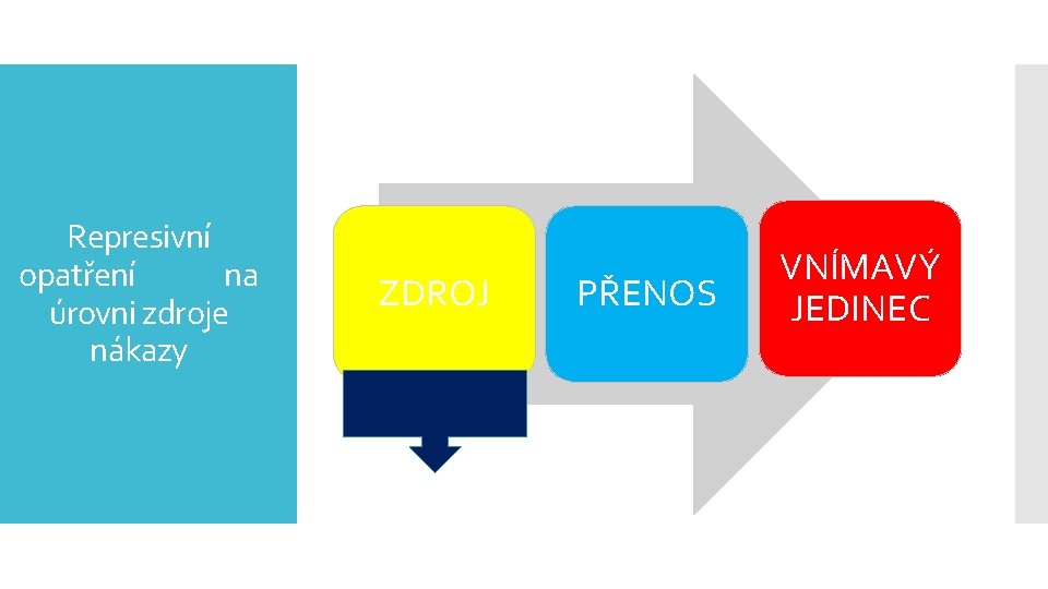 Represivní opatření na úrovni zdroje nákazy ZDROJ PŘENOS VNÍMAVÝ JEDINEC 