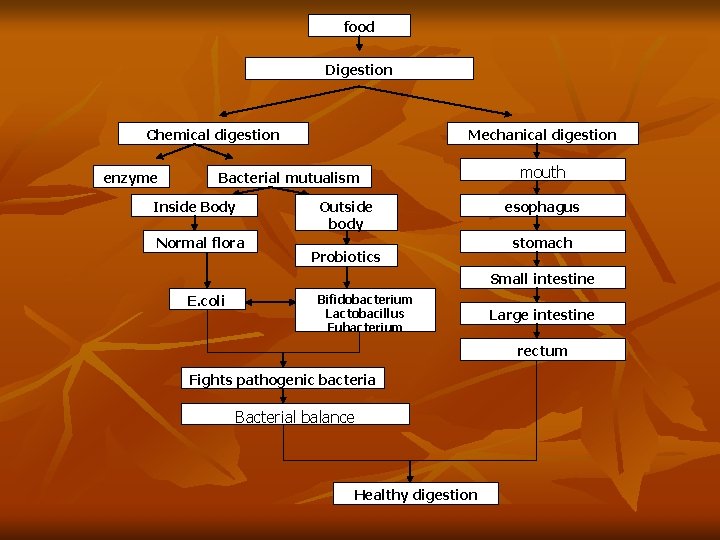 food Digestion Chemical digestion enzyme Mechanical digestion Bacterial mutualism Inside Body Normal flora Outside