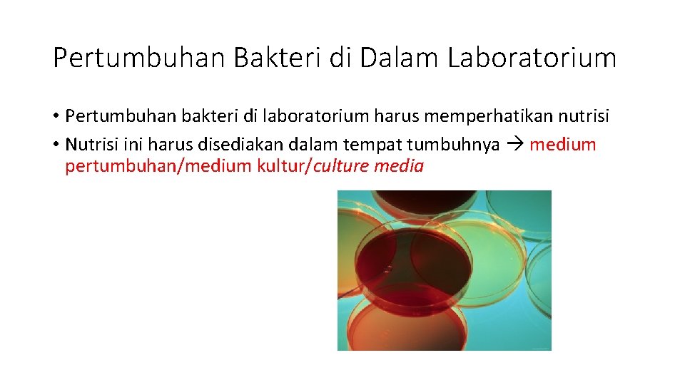 Pertumbuhan Bakteri di Dalam Laboratorium • Pertumbuhan bakteri di laboratorium harus memperhatikan nutrisi •