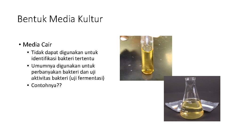 Bentuk Media Kultur • Media Cair • Tidak dapat digunakan untuk identifikasi bakteri tertentu