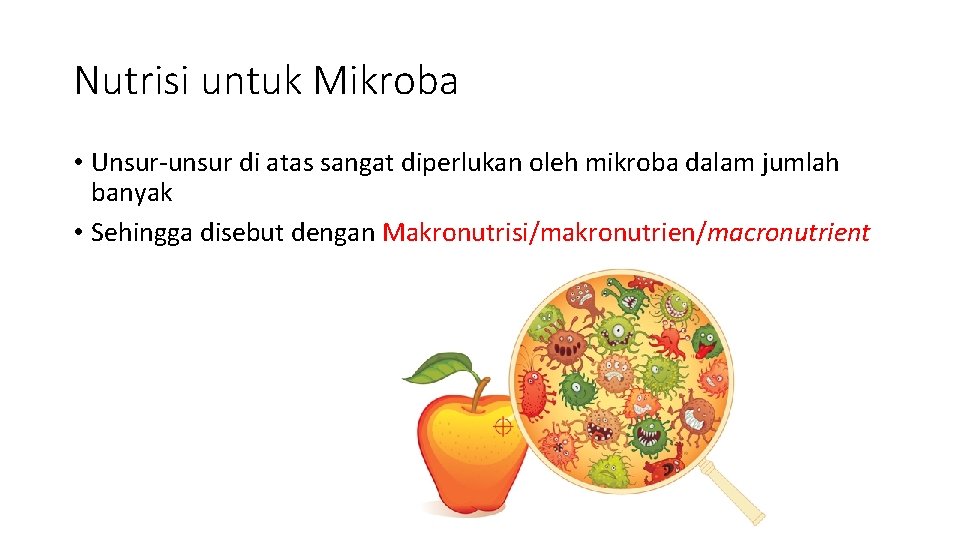 Nutrisi untuk Mikroba • Unsur-unsur di atas sangat diperlukan oleh mikroba dalam jumlah banyak