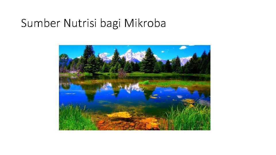 Sumber Nutrisi bagi Mikroba 