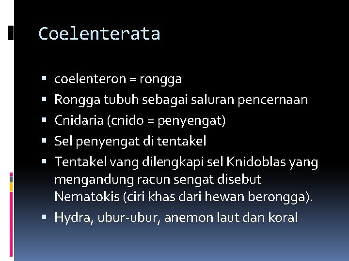 Coelenterata coelenteron = rongga Rongga tubuh sebagai saluran pencernaan Cnidaria (cnido = penyengat) Sel