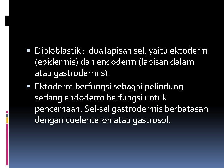  Diploblastik : dua lapisan sel, yaitu ektoderm (epidermis) dan endoderm (lapisan dalam atau