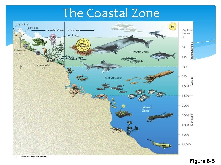 The Coastal Zone Figure 6 -5 