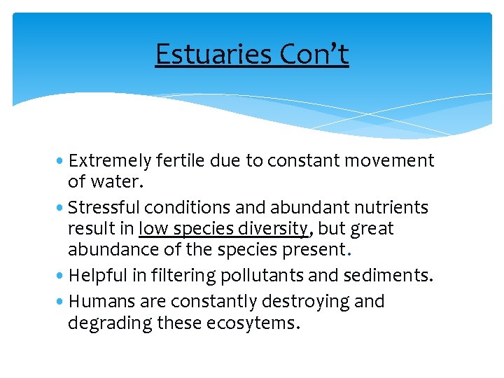 Estuaries Con’t • Extremely fertile due to constant movement of water. • Stressful conditions