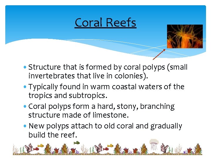 Coral Reefs • Structure that is formed by coral polyps (small invertebrates that live