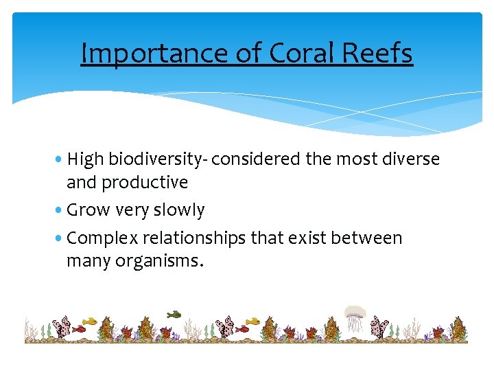 Importance of Coral Reefs • High biodiversity- considered the most diverse and productive •