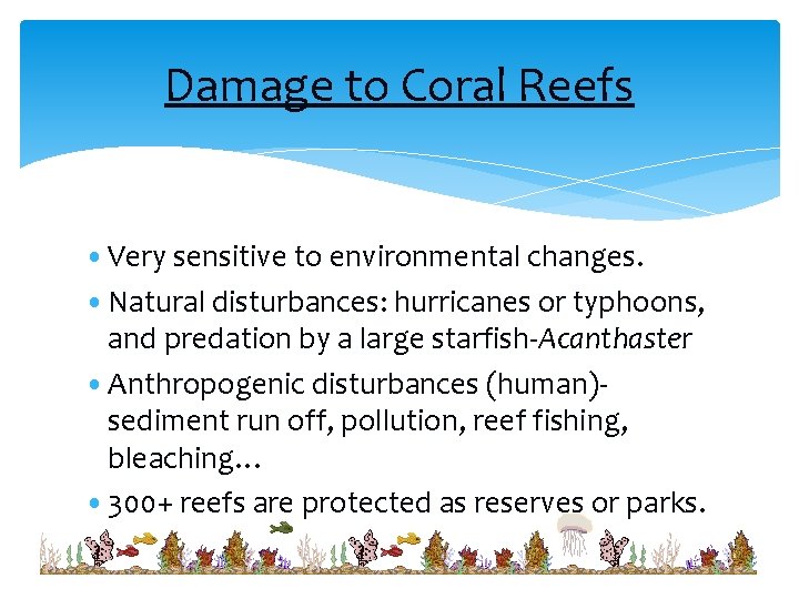 Damage to Coral Reefs • Very sensitive to environmental changes. • Natural disturbances: hurricanes