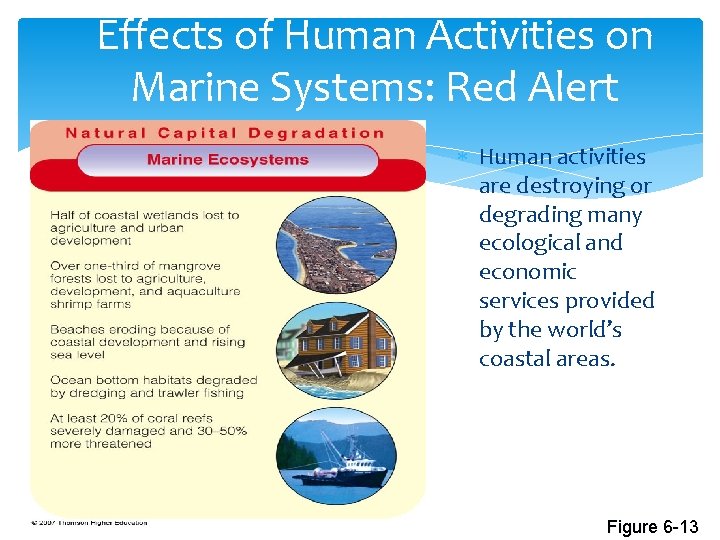 Effects of Human Activities on Marine Systems: Red Alert Human activities are destroying or