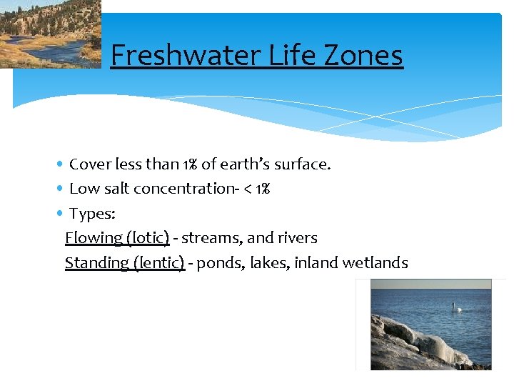 Freshwater Life Zones • Cover less than 1% of earth’s surface. • Low salt