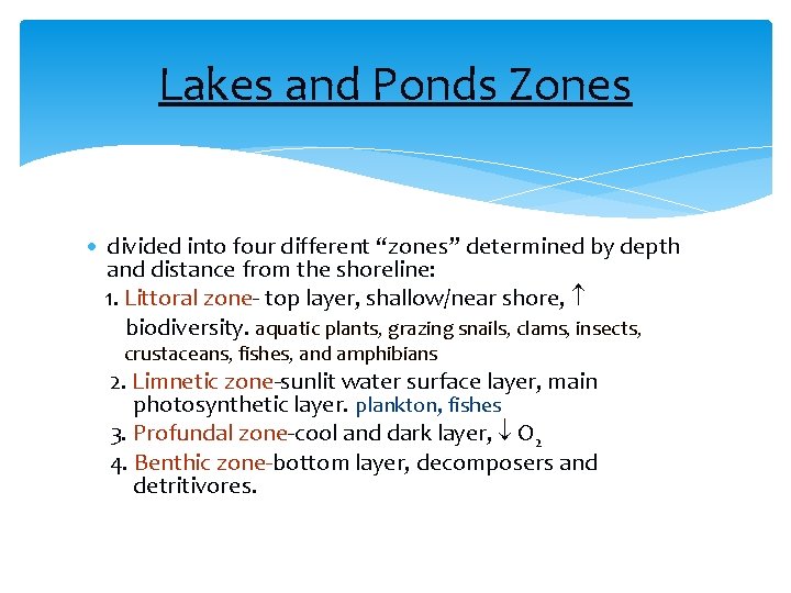 Lakes and Ponds Zones • divided into four different “zones” determined by depth and