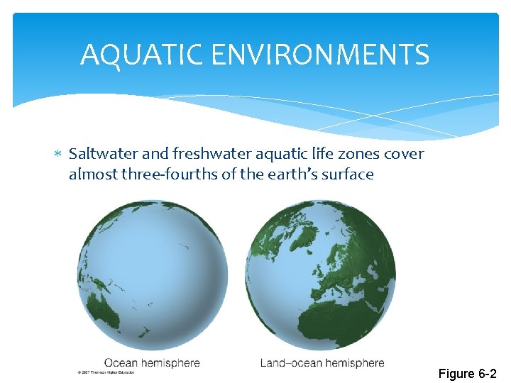 AQUATIC ENVIRONMENTS Saltwater and freshwater aquatic life zones cover almost three-fourths of the earth’s