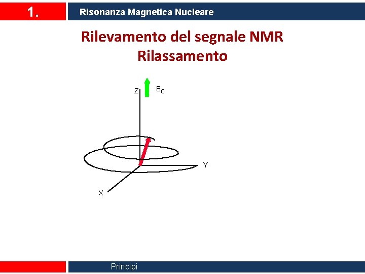 1. Risonanza Magnetica Nucleare Rilevamento del segnale NMR Rilassamento Z Bo Y X Principi