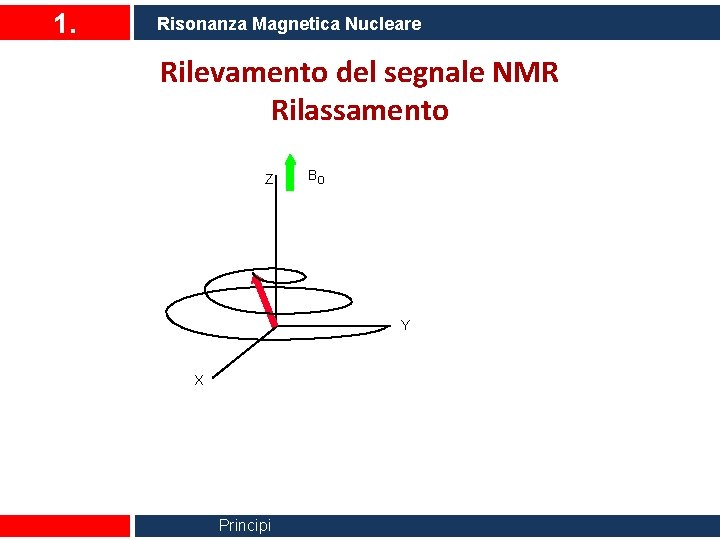 1. Risonanza Magnetica Nucleare Rilevamento del segnale NMR Rilassamento Z Bo Y X Principi