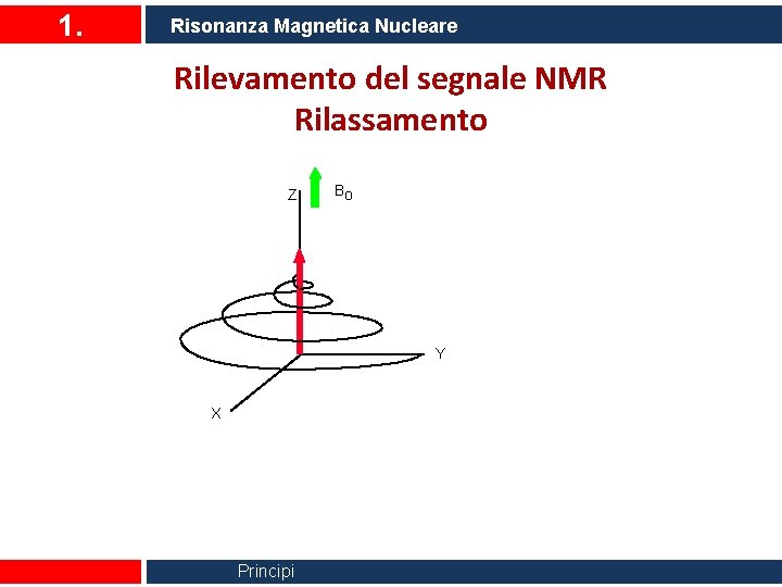 1. Risonanza Magnetica Nucleare Rilevamento del segnale NMR Rilassamento Z Bo Y X Principi