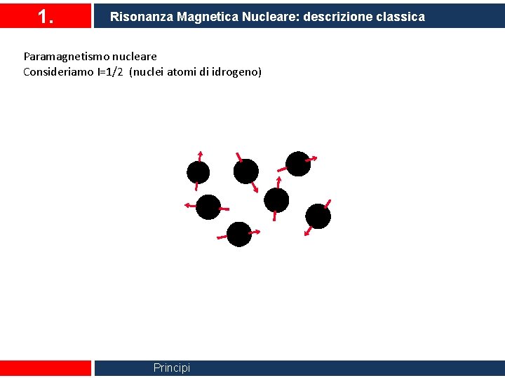 1. Risonanza Magnetica Nucleare: descrizione classica Paramagnetismo nucleare Consideriamo I=1/2 (nuclei atomi di idrogeno)