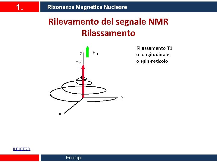 1. Risonanza Magnetica Nucleare Rilevamento del segnale NMR Rilassamento Z Rilassamento T 1 o