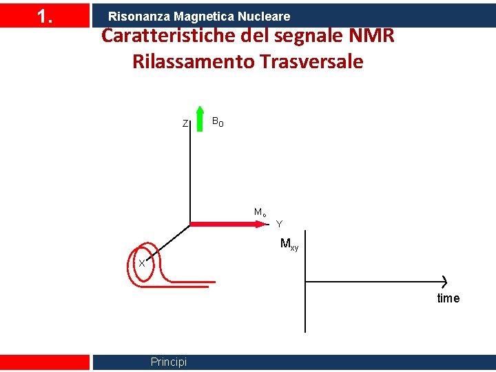 1. Risonanza Magnetica Nucleare Caratteristiche del segnale NMR Rilassamento Trasversale Z Bo Mo Y