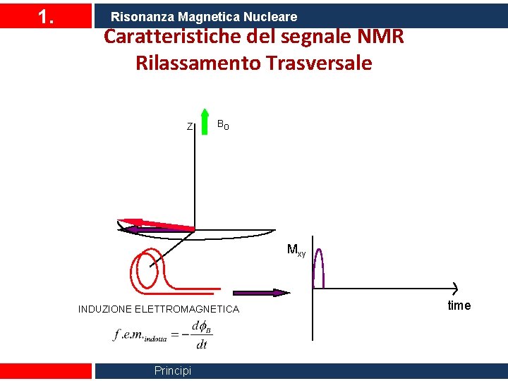 1. Risonanza Magnetica Nucleare Caratteristiche del segnale NMR Rilassamento Trasversale Z Bo Mxy INDUZIONE