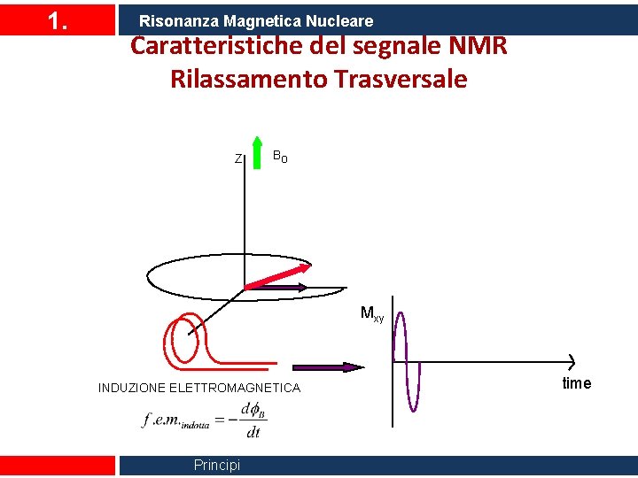 1. Risonanza Magnetica Nucleare Caratteristiche del segnale NMR Rilassamento Trasversale Z Bo Mxy INDUZIONE