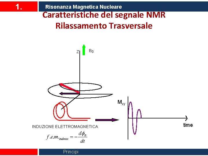 1. Risonanza Magnetica Nucleare Caratteristiche del segnale NMR Rilassamento Trasversale Z B 0 Mxy