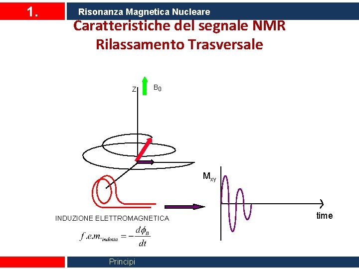 1. Risonanza Magnetica Nucleare Caratteristiche del segnale NMR Rilassamento Trasversale Z B 0 Mxy