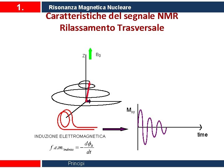 1. Risonanza Magnetica Nucleare Caratteristiche del segnale NMR Rilassamento Trasversale Z B 0 Mxy