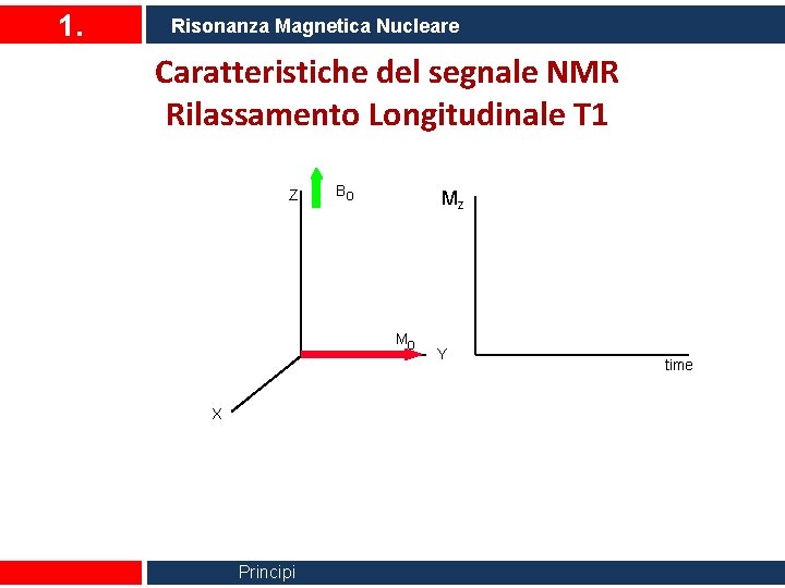 1. Risonanza Magnetica Nucleare Caratteristiche del segnale NMR Rilassamento Longitudinale T 1 Z Bo