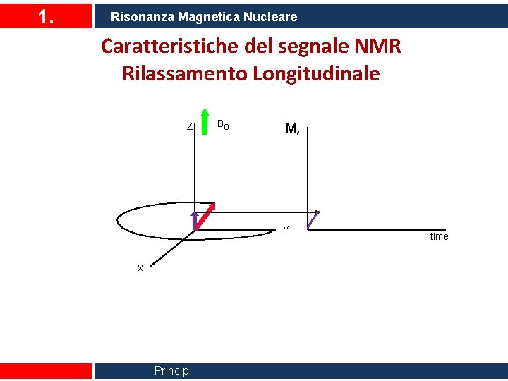 1. Risonanza Magnetica Nucleare Caratteristiche del segnale NMR Rilassamento Longitudinale Z Bo Mz Y